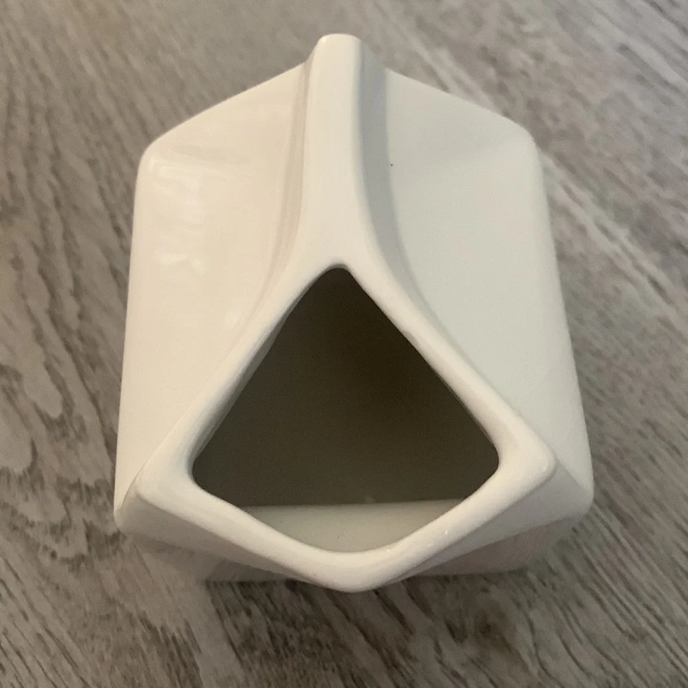 Crate & Barrel cream container/server